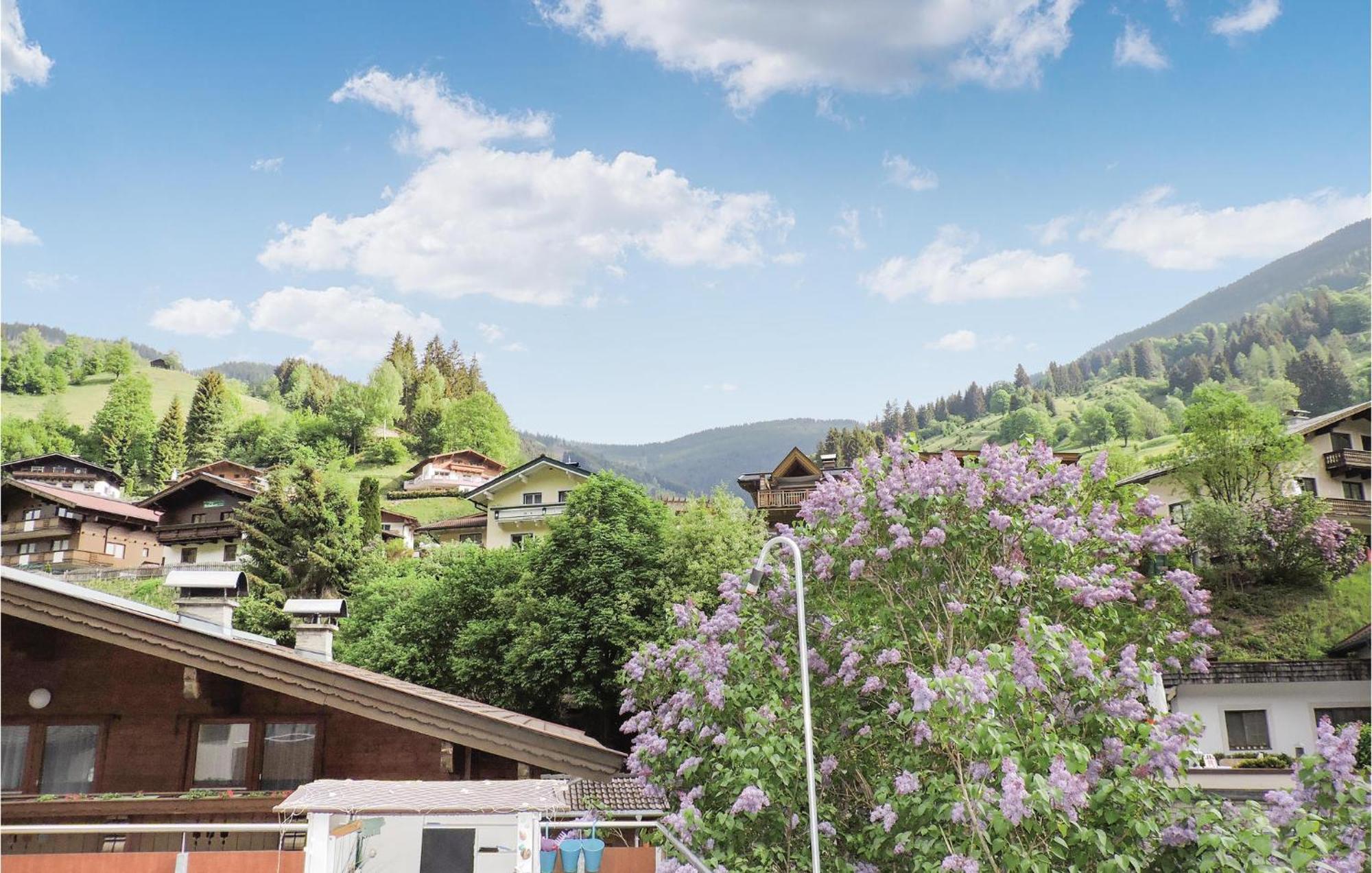 Two-Bedroom Apartment In Viehhofen Kültér fotó